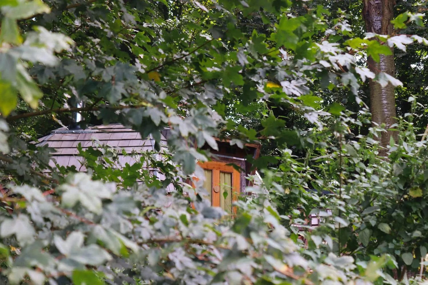 Oku Wooden Pod, Newburgh Priory Estate Villa York 0*,  United Kingdom